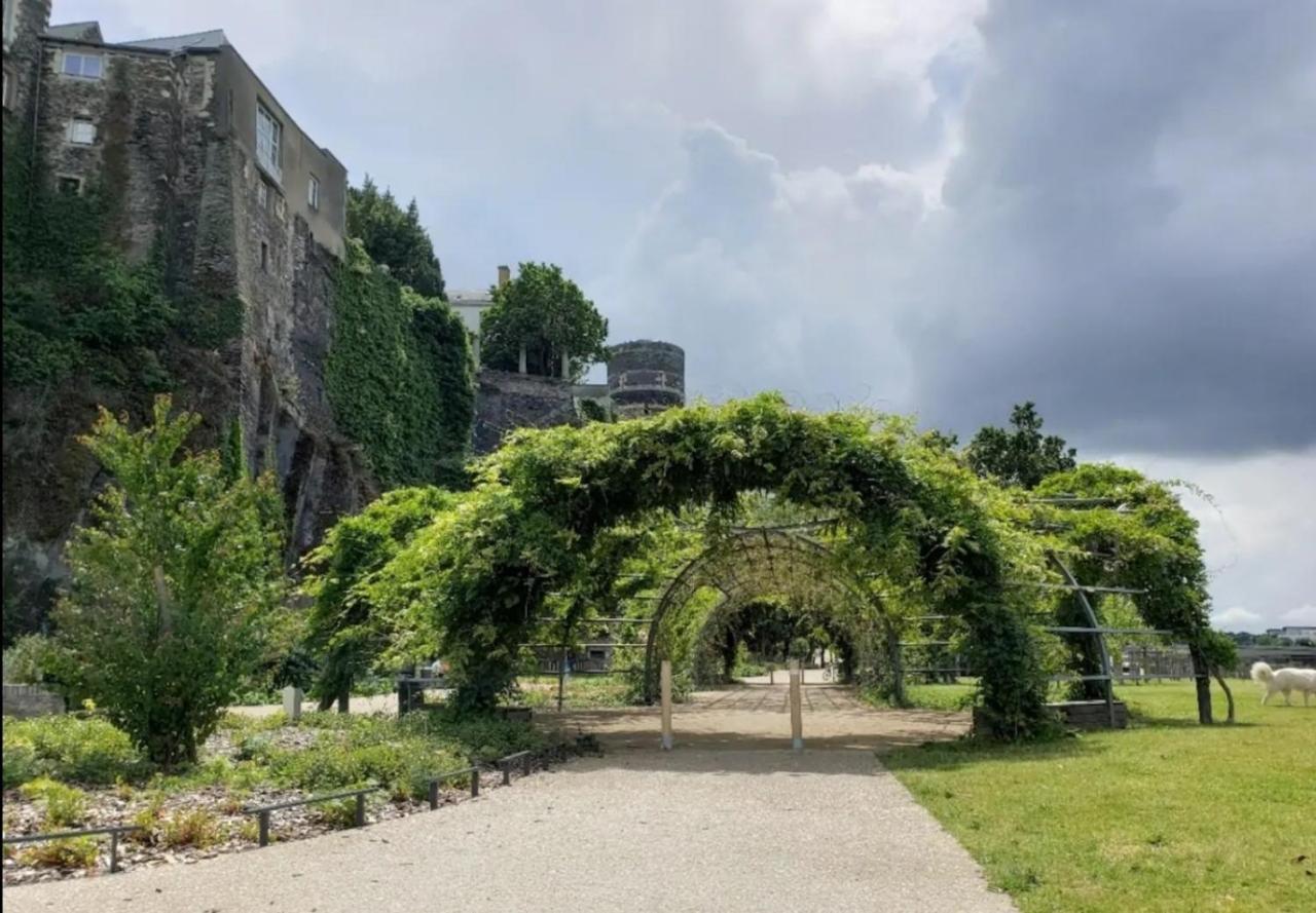 Le Chateau * Angers
