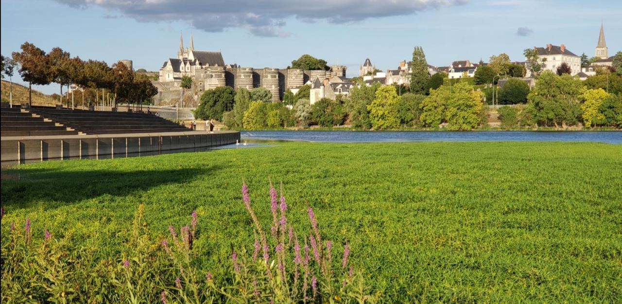 Le Chateau Apartment Angers