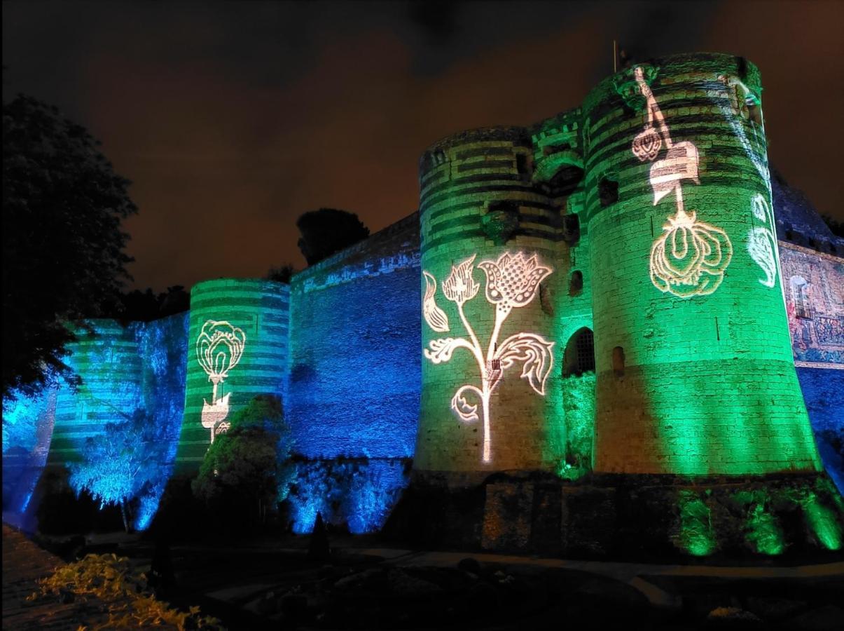 Le Chateau * Angers